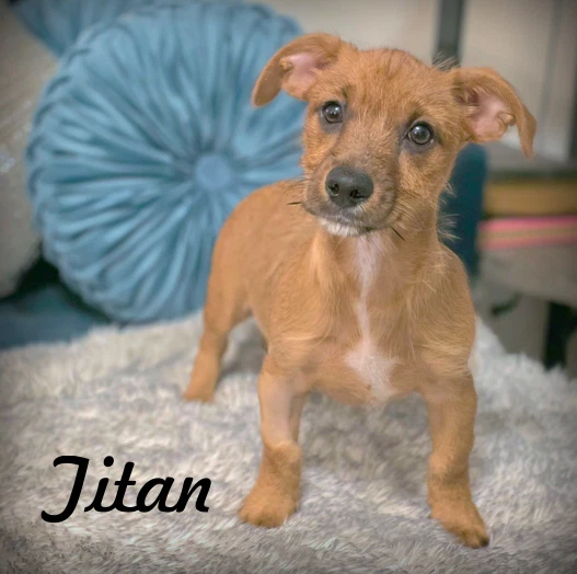 Itan