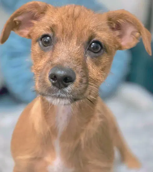 Itan image 2