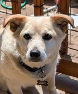 Mason