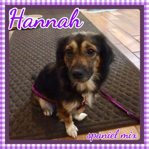 Hannah