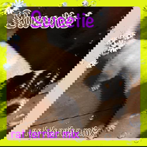 Sweetie