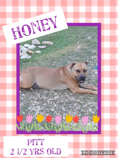 Honey