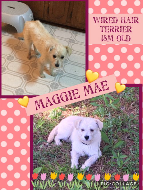 Maggie Mae