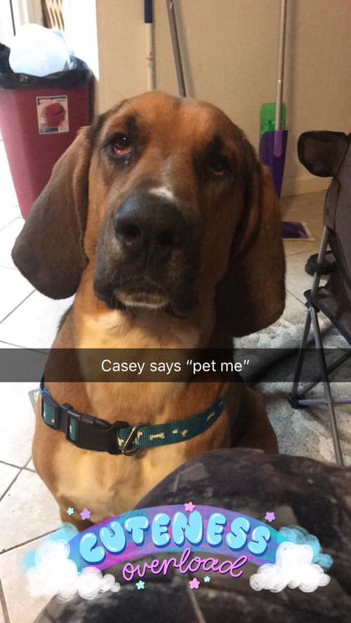 Casey