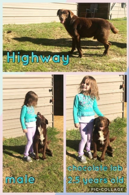Highway