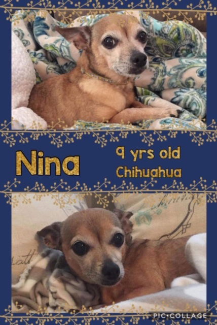 Nina