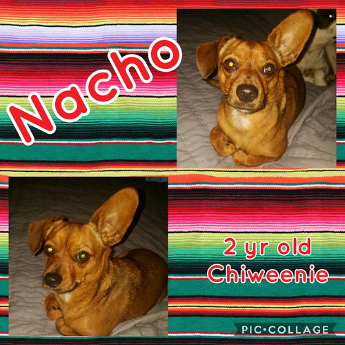 Nacho