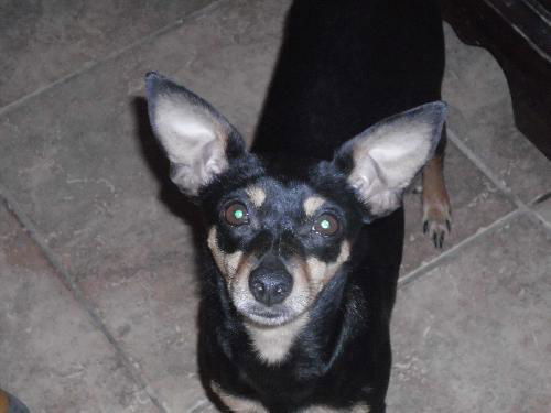 Minnie Pearl
