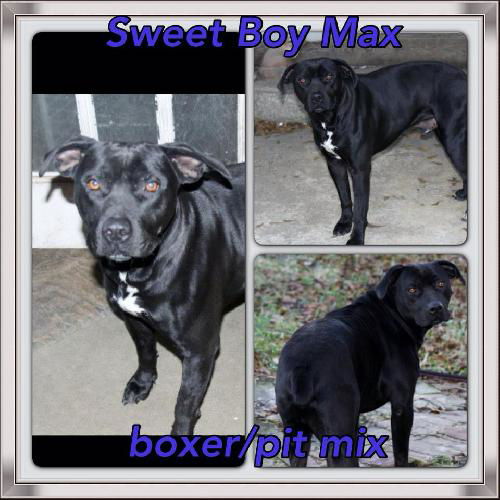 Max