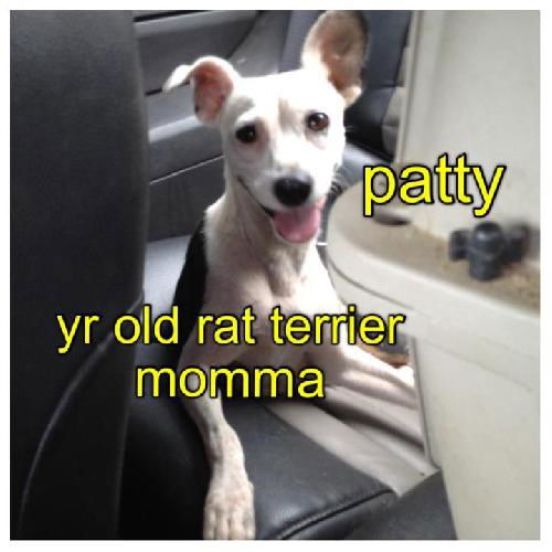 Patty