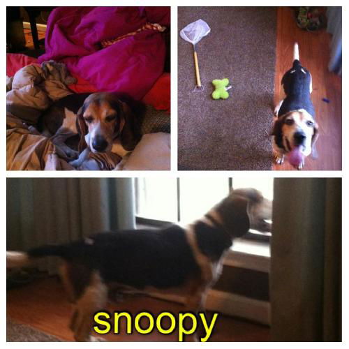 Snoopy