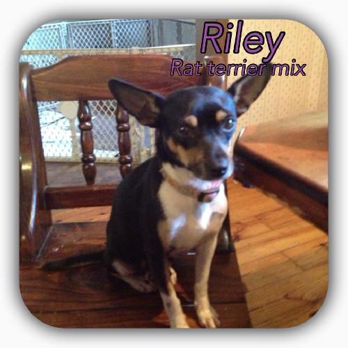 Riley