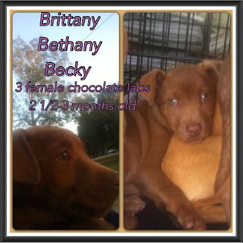 Bethany