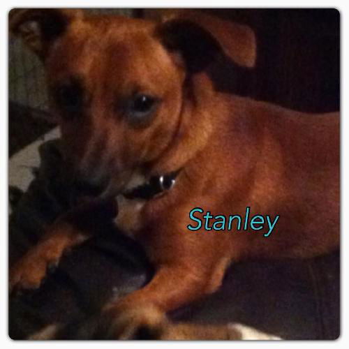 Stanley