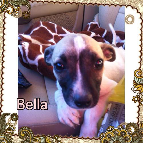 Bella