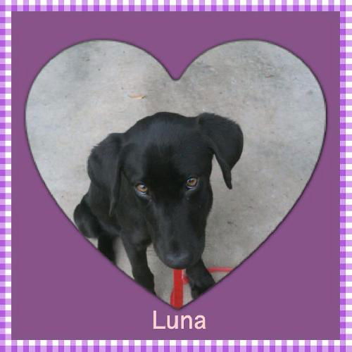 Luna