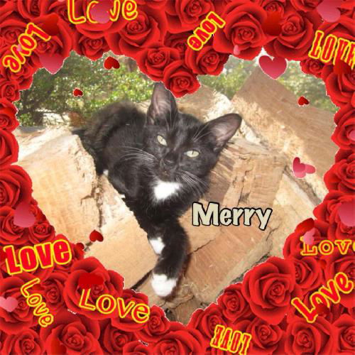 Merry