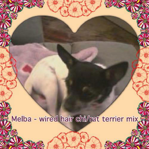 Melba