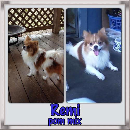 Remi