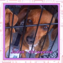 Jaden