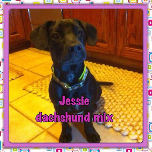Jessie