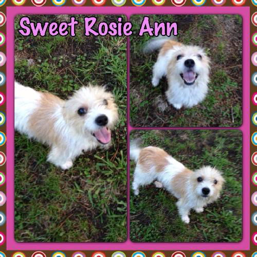 Rosie Ann
