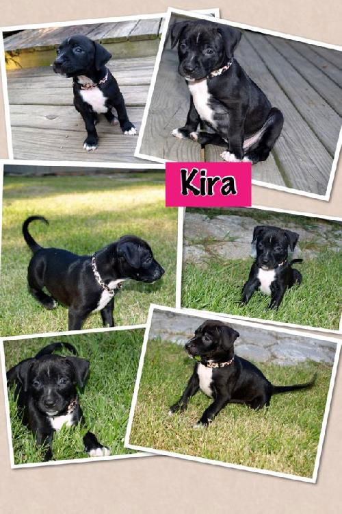 Kira