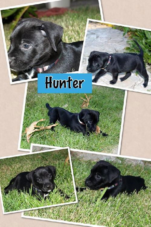 Hunter