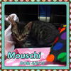 Mouschi