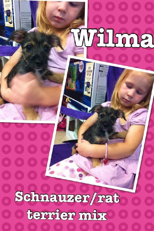 Wilma