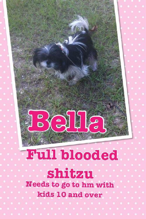 Bella