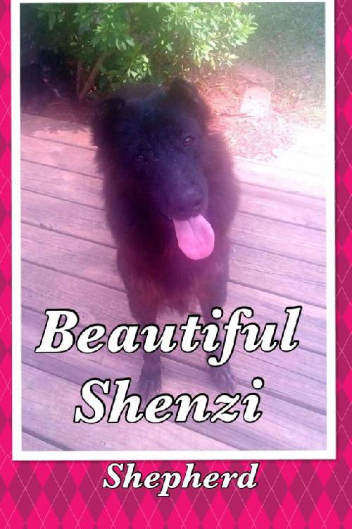 Shenzi