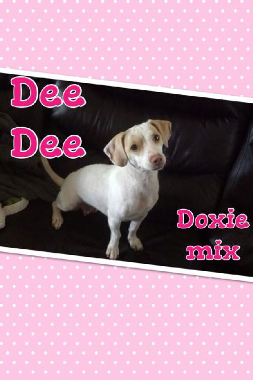 Dee Dee