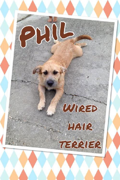 Phil