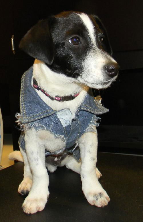 Oscar