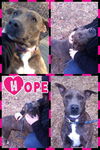 Hope