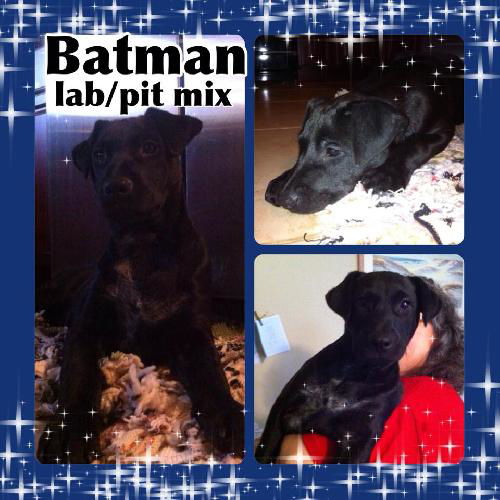 Batman