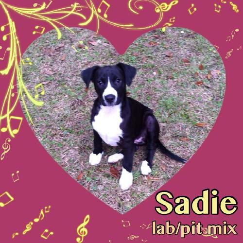 Sadie