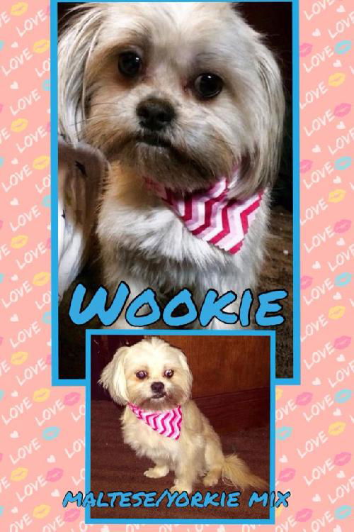 Wookie