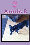 Annie Beatrice