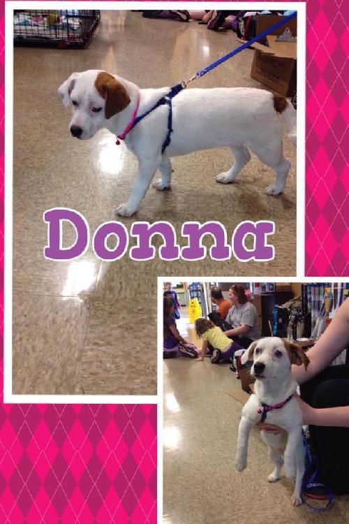 Donna