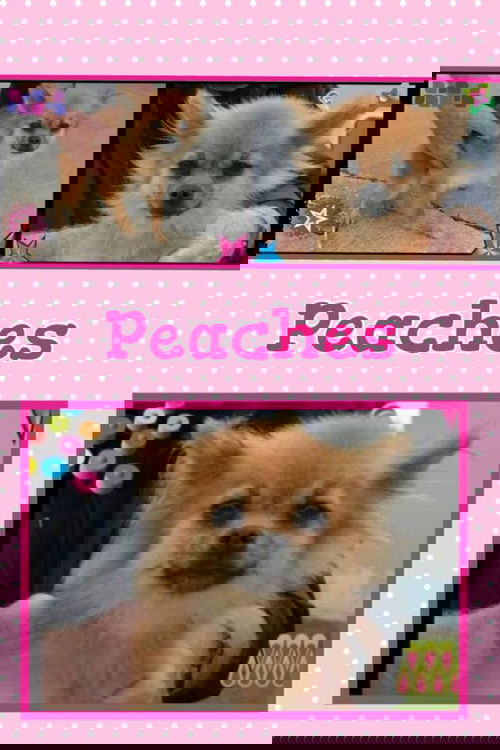 Peaches