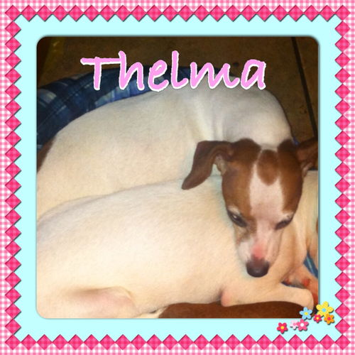 Thelma