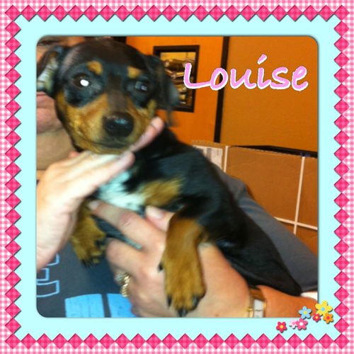 Louise