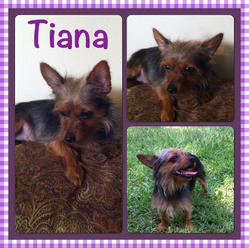 Tiana