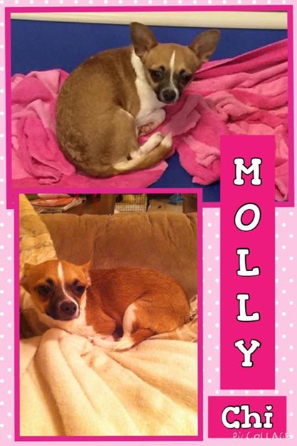 Molly