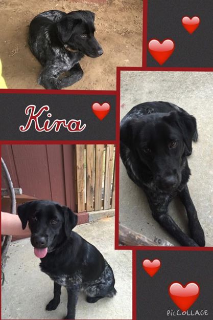 Kira