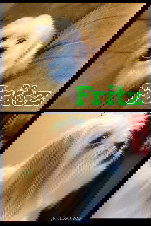Fritz