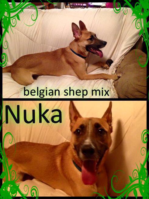 Nuka