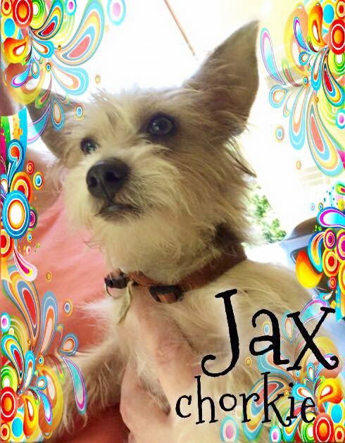 Jax